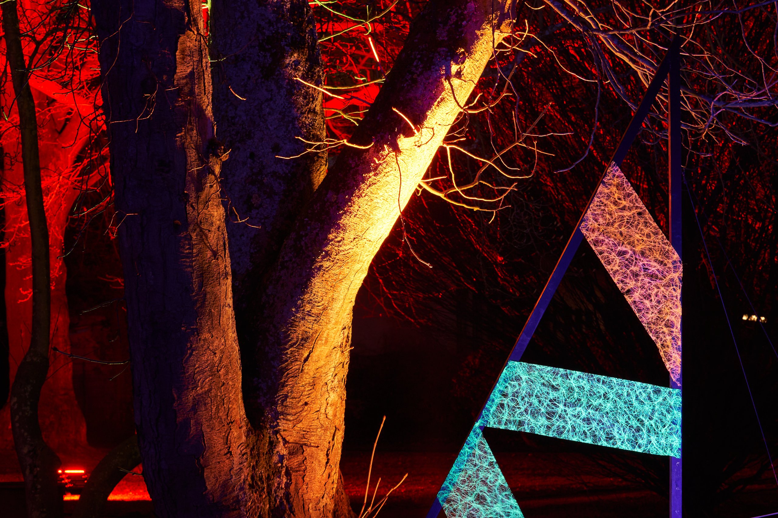 2023 01 24 Parkleuchten 0522